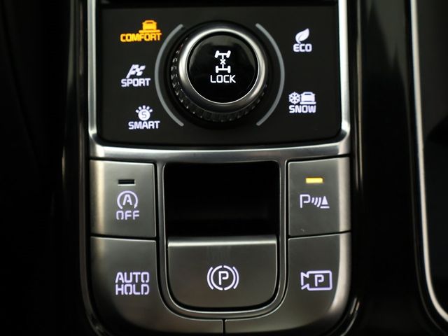 2024 Kia Telluride SX-Prestige X-Pro - 22919868 - 65