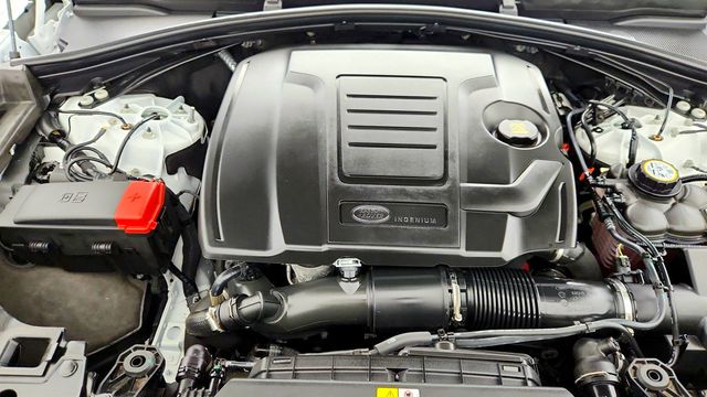 2024 Land Rover Range Rover Velar P250 Dynamic SE - 22971142 - 25