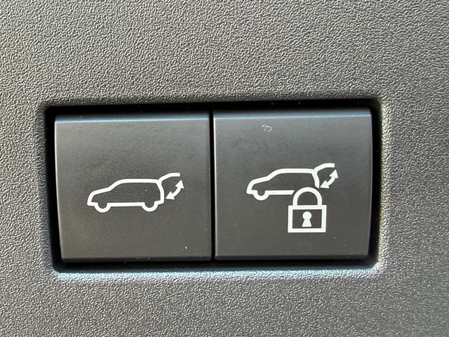 2024 Lexus GX GX 550 Overtrail 4WD - 22986551 - 34