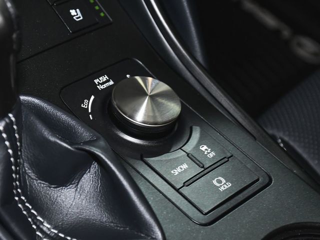 2024 Lexus IS 350 F SPORT - 23025857 - 39