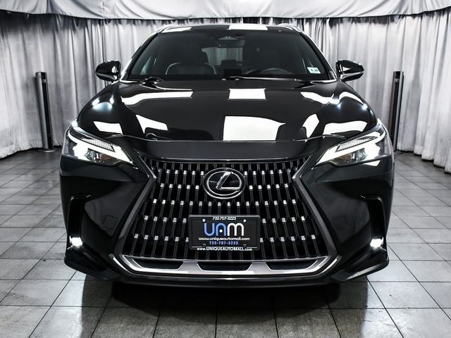 2024 Lexus NX 250 Base - 22957886 - 1