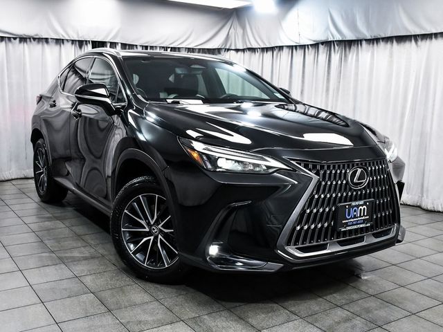 2024 Lexus NX 250 Base - 22957886 - 2