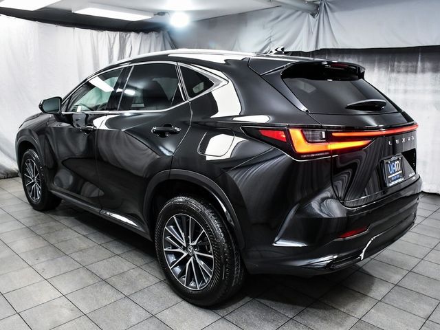 2024 Lexus NX 250 Base - 22957886 - 3