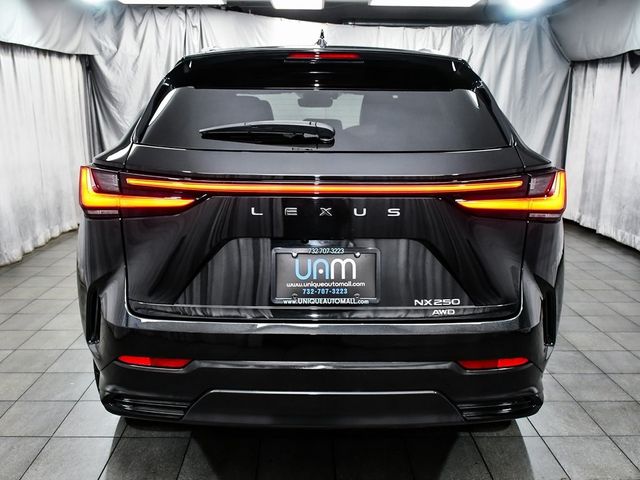 2024 Lexus NX 250 Base - 22957886 - 4