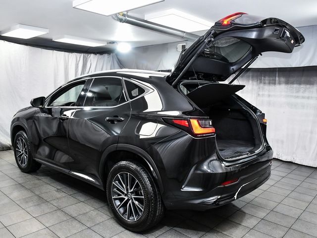 2024 Lexus NX 250 Base - 22957886 - 61