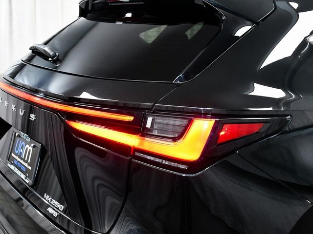 2024 Lexus NX 250 Base - 22957886 - 78