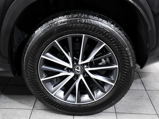 2024 Lexus NX 250 Base - 22957886 - 7