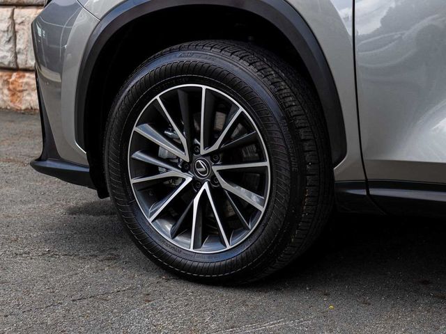 2024 Lexus NX 350 Base - 23077451 - 6
