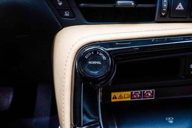 2024 Lexus NX 350h Luxury - 23026924 - 22