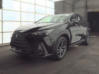 2024 Lexus NX