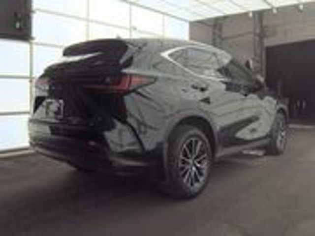 2024 Lexus NX 350 Premium - 22953984 - 1