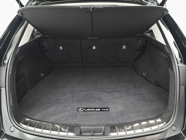 2024 Lexus NX 350 Premium - 22953984 - 31