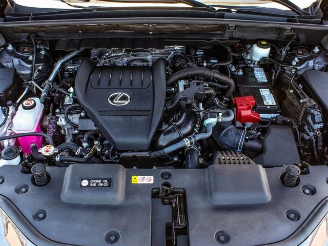 2024 Lexus NX 350 Premium - 23077493 - 44