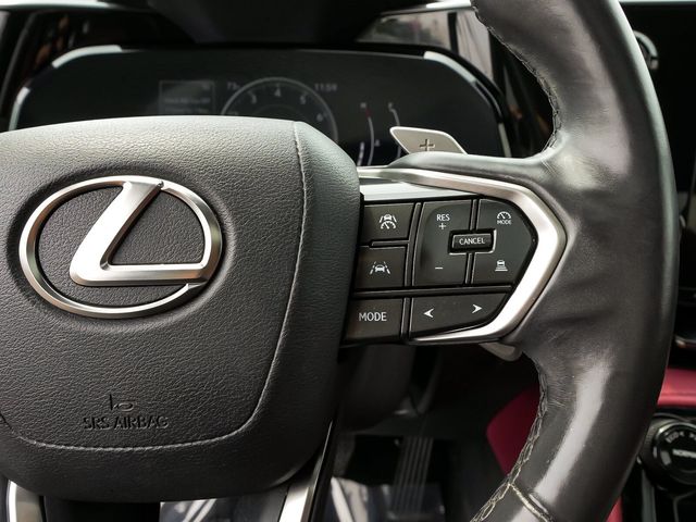 2024 Lexus NX NX 250 - 23076524 - 16