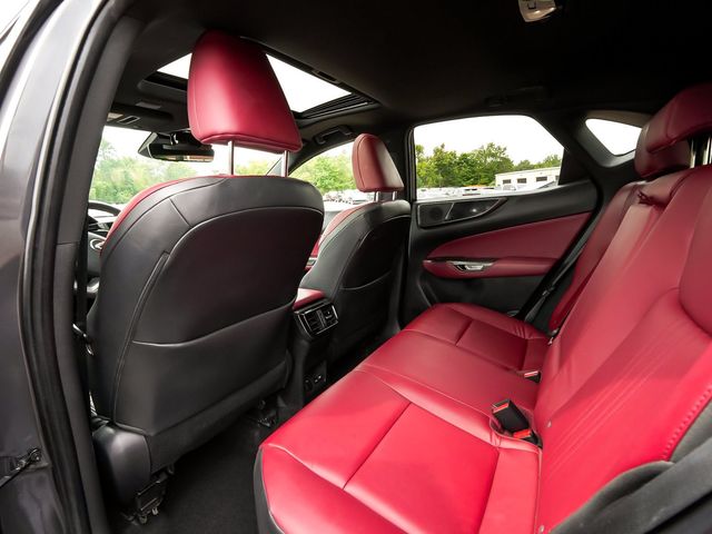 2024 Lexus NX NX 250 - 23076524 - 33
