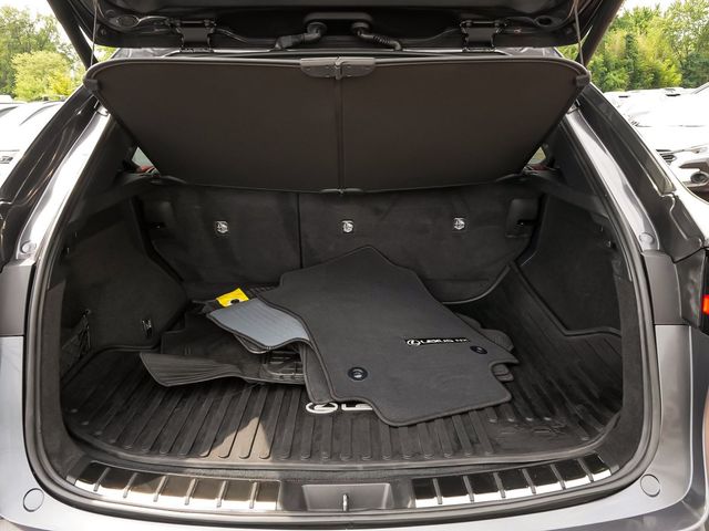 2024 Lexus NX NX 250 - 23076524 - 48