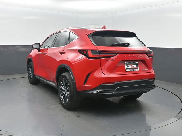 2024 Lexus NX NX 250 FWD - 23024171 - 2
