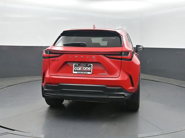 2024 Lexus NX NX 250 FWD - 23024171 - 32
