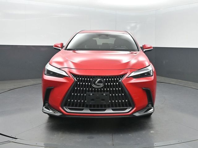 2024 Lexus NX NX 250 FWD - 23024171 - 36