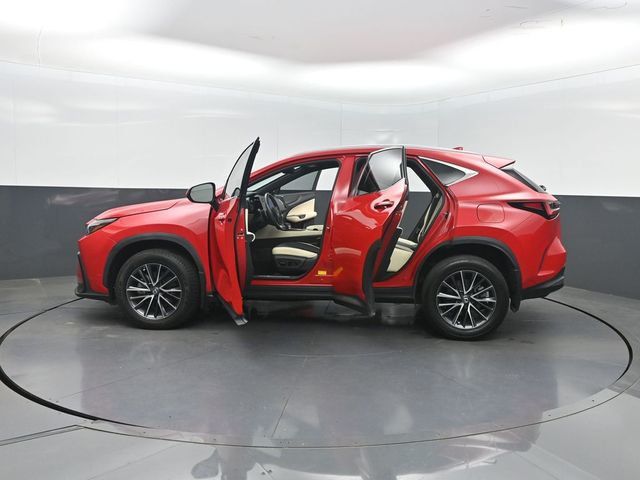 2024 Lexus NX NX 250 FWD - 23024171 - 41