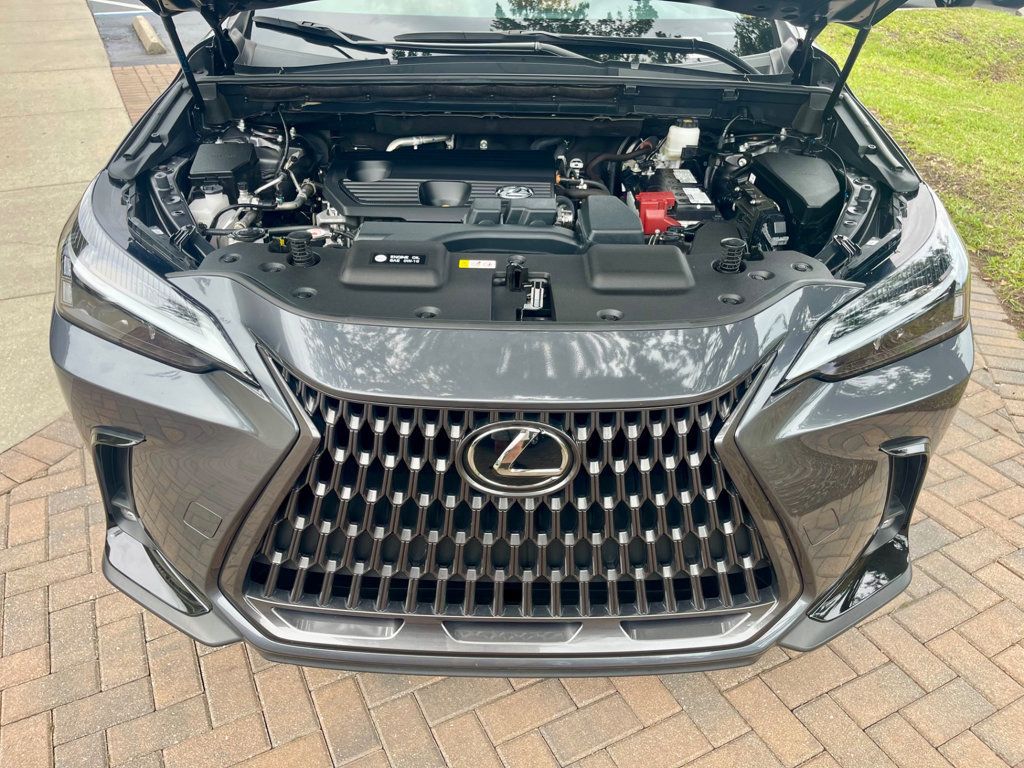 2024 Lexus NX 250 photo 16