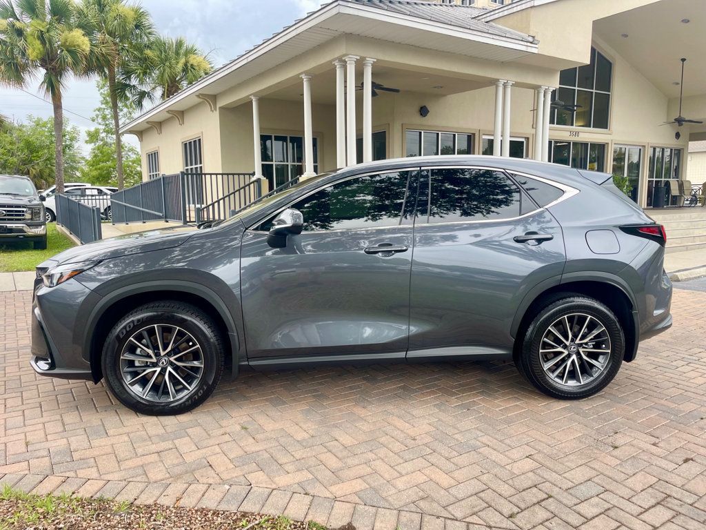 2024 Lexus NX 250 photo 2