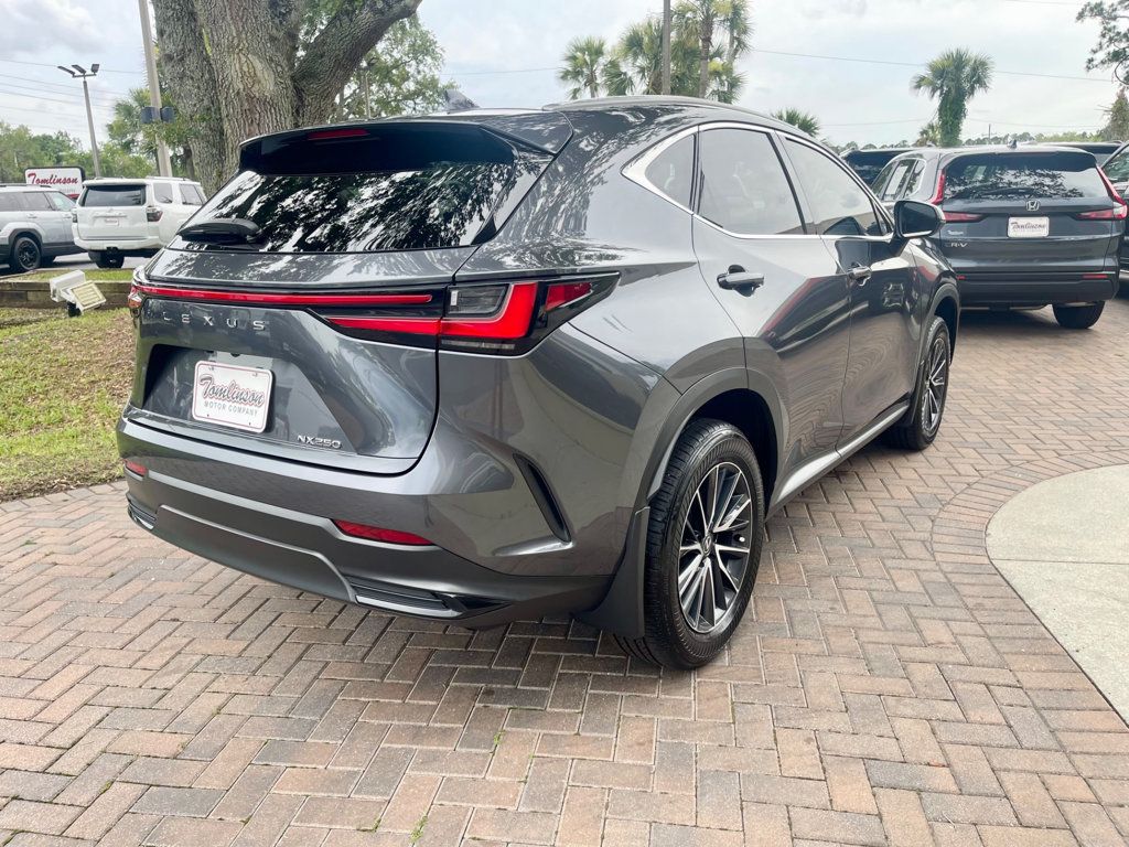 2024 Lexus NX 250 photo 6