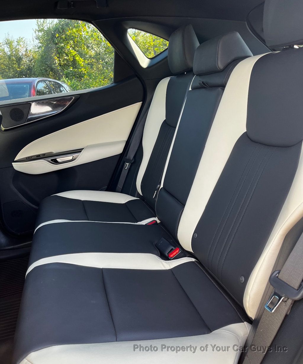 2024 Lexus NX NX 250 FWD - 23099192 - 14