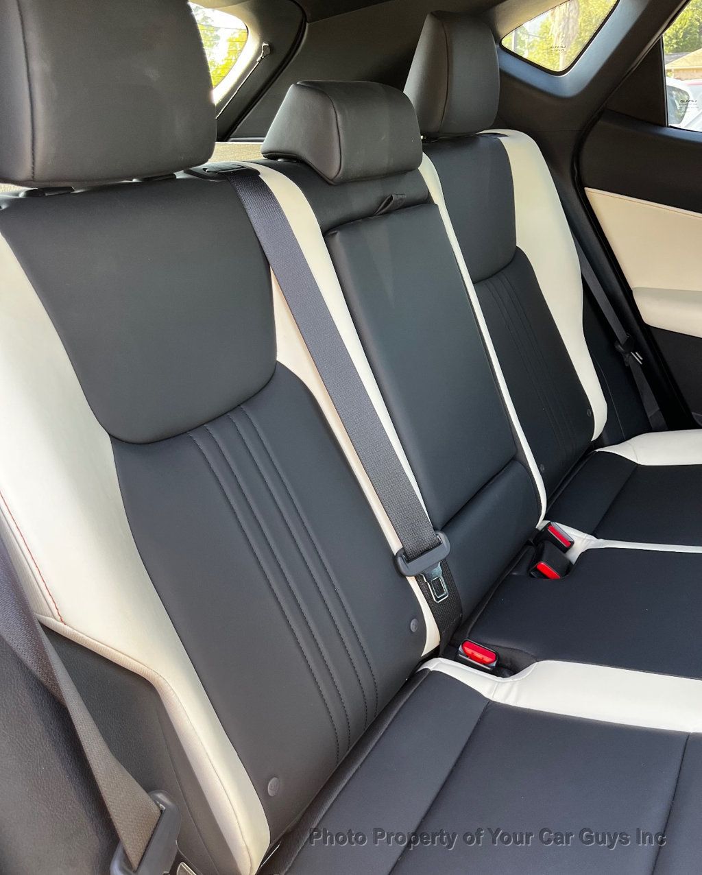 2024 Lexus NX NX 250 FWD - 23099192 - 15