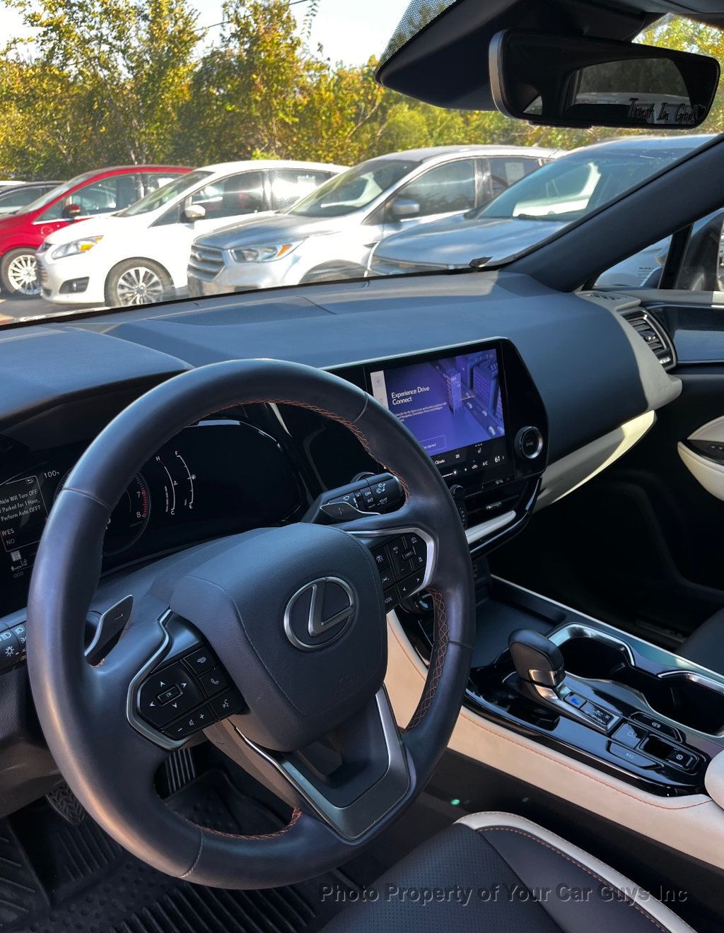 2024 Lexus NX NX 250 FWD - 23099192 - 17