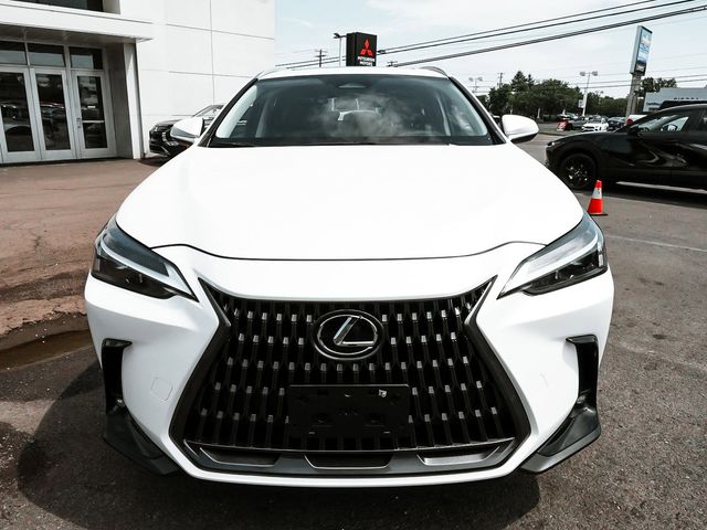2024 Lexus NX NX 350 - 23076525 - 1