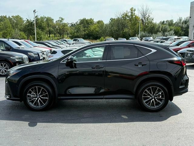 2024 Lexus NX NX 350h AWD - 23075269 - 13