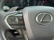 2024 Lexus NX NX 350h AWD - 23075269 - 22