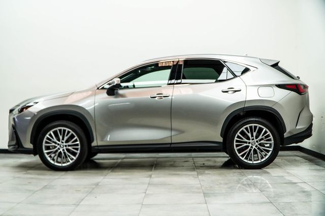2024 Lexus NX NX 350h Luxury AWD - 22907152 - 7