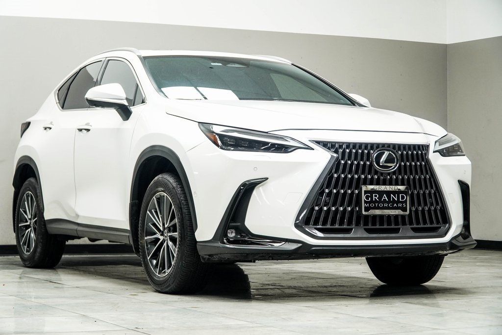 2024 Lexus NX 350h Luxury AWD photo 4