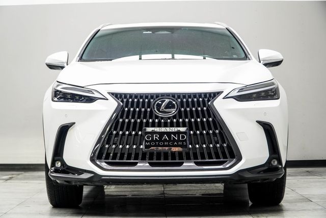 2024 Lexus NX NX 350h Luxury AWD - 22944878 - 6