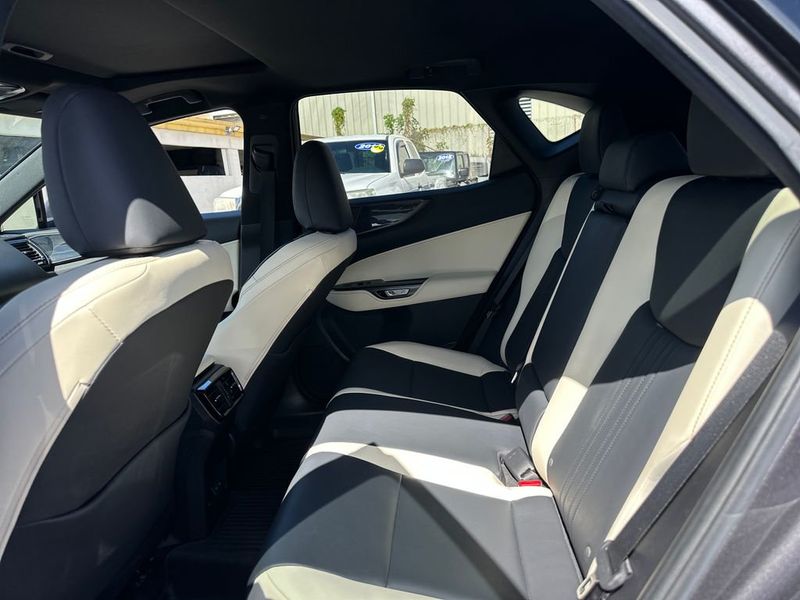 2024 Lexus NX NX 350h Premium AWD - 23050375 - 13