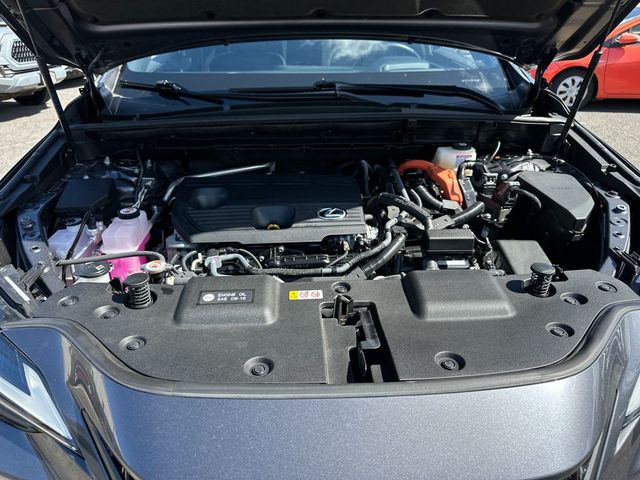 2024 Lexus NX NX 350h Premium AWD - 23050375 - 20