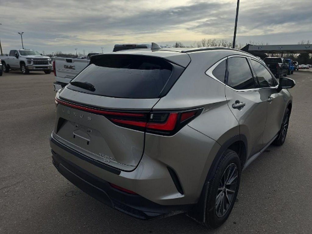 2024 Lexus NX NX 350h Premium AWD - 22745060 - 3