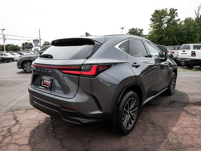 2024 Lexus NX 250 NX 250 - 23076524 - 5