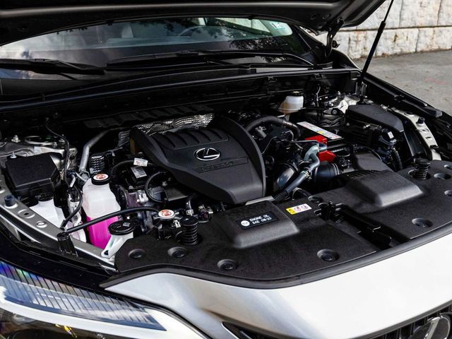 2024 Lexus NX 350 350 Base - 23077451 - 33