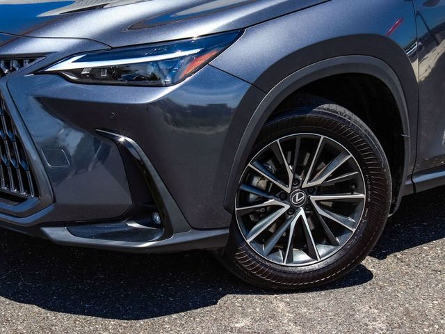 2024 Lexus NX 350 Premium - 23077493 - 45