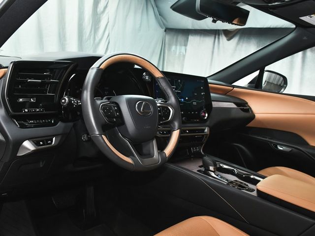 2024 Lexus RX 350 Premium Plus - 22952229 - 20
