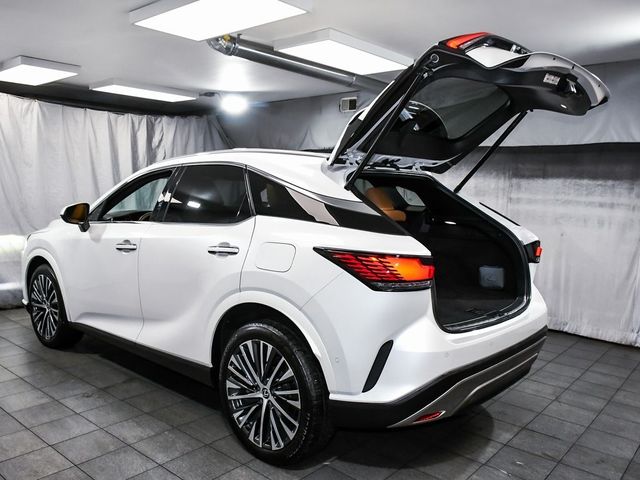2024 Lexus RX 350 Premium Plus - 22952229 - 68