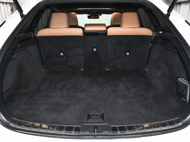 2024 Lexus RX 350 Premium Plus - 22952229 - 70