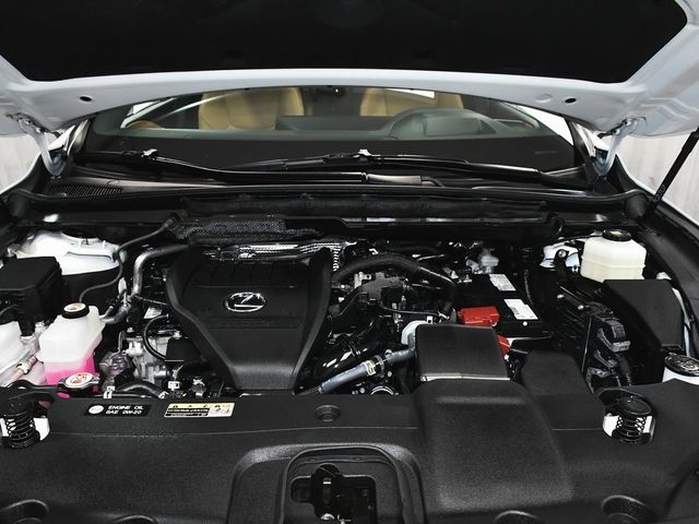 2024 Lexus RX 350 Premium Plus - 22952229 - 72