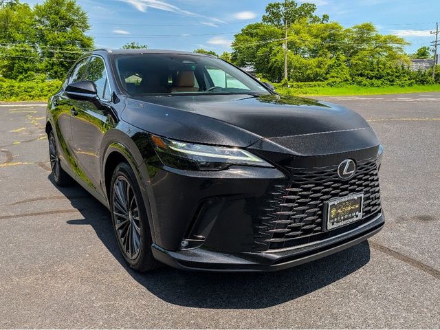 2024 Lexus RX Premium - 23039420 - 2