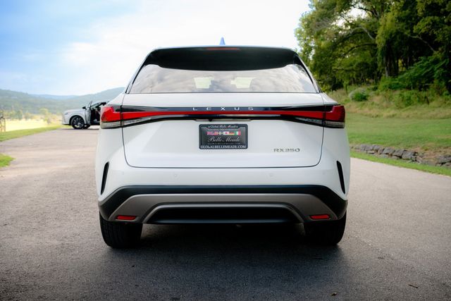2024 Lexus RX PremiumPlus/ColdAreaPkg/TechnologyPkg/Heated&CooledSeats/NAV - 23072428 - 6