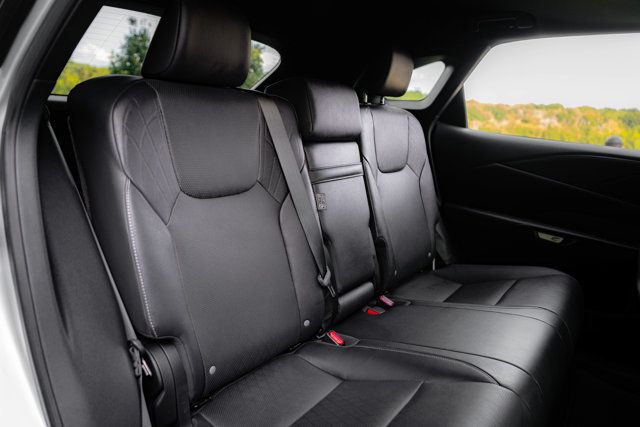 2024 Lexus RX PremiumPlus-FWD/ColdAreaPkg/TrafficJamAssist/Heated&CooledSeats - 23072920 - 17