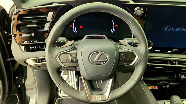 2024 Lexus RX RX 350 AWD - 23099040 - 13